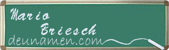 Mario Briesch Visitenkarte